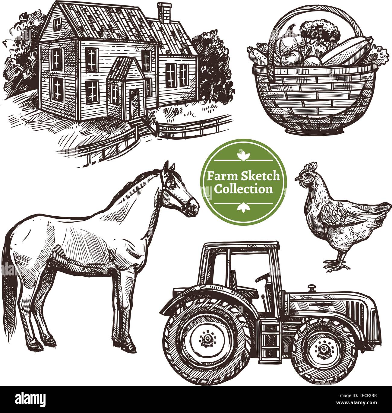 Black and white farm hand drawn sketch set with horse hen farmhouse tractor and basket with vegetables on white background isolated vector illustratio Stock Vector