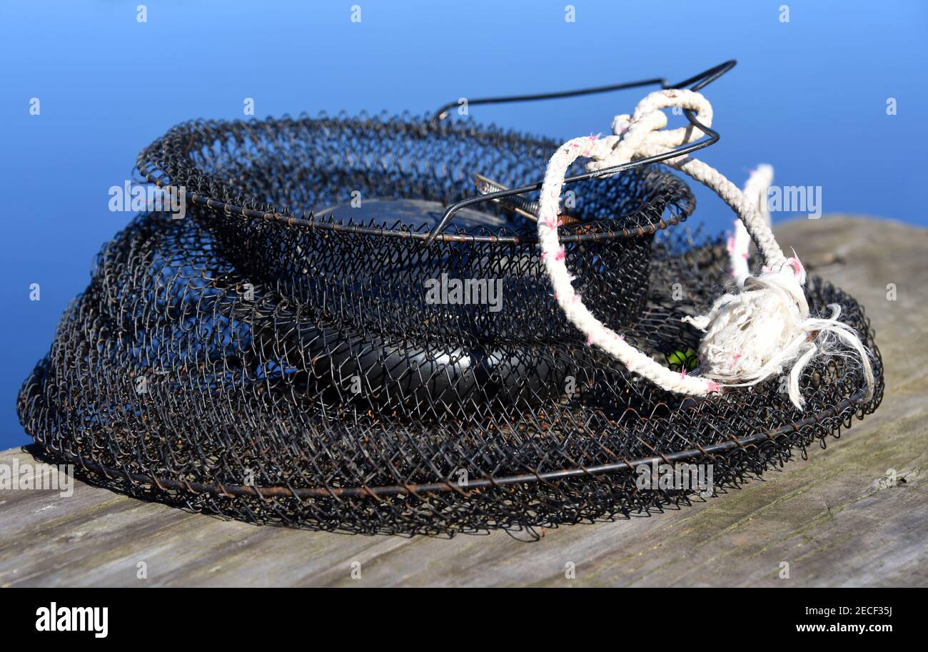 https://c8.alamy.com/comp/2ECF35J/black-metal-minnow-trap-sits-on-a-weathered-wooden-dock-trap-is-collapsed-on-itself-and-white-rope-is-attached-to-it-2ECF35J.jpg