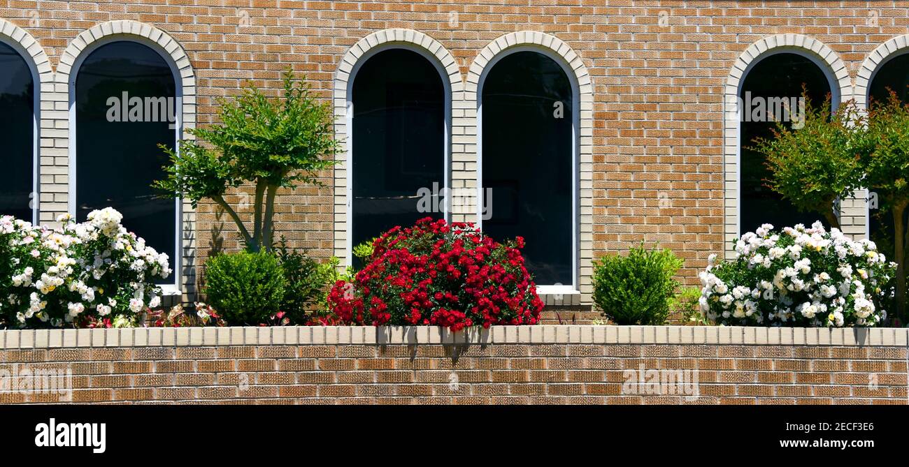 Arched white brick windows hi-res stock photography and images - Alamy