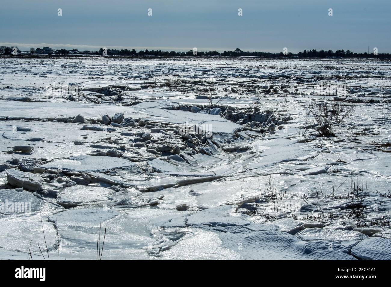 A tidal channel in winter, Salisbury Massachusetts Stock Photo
