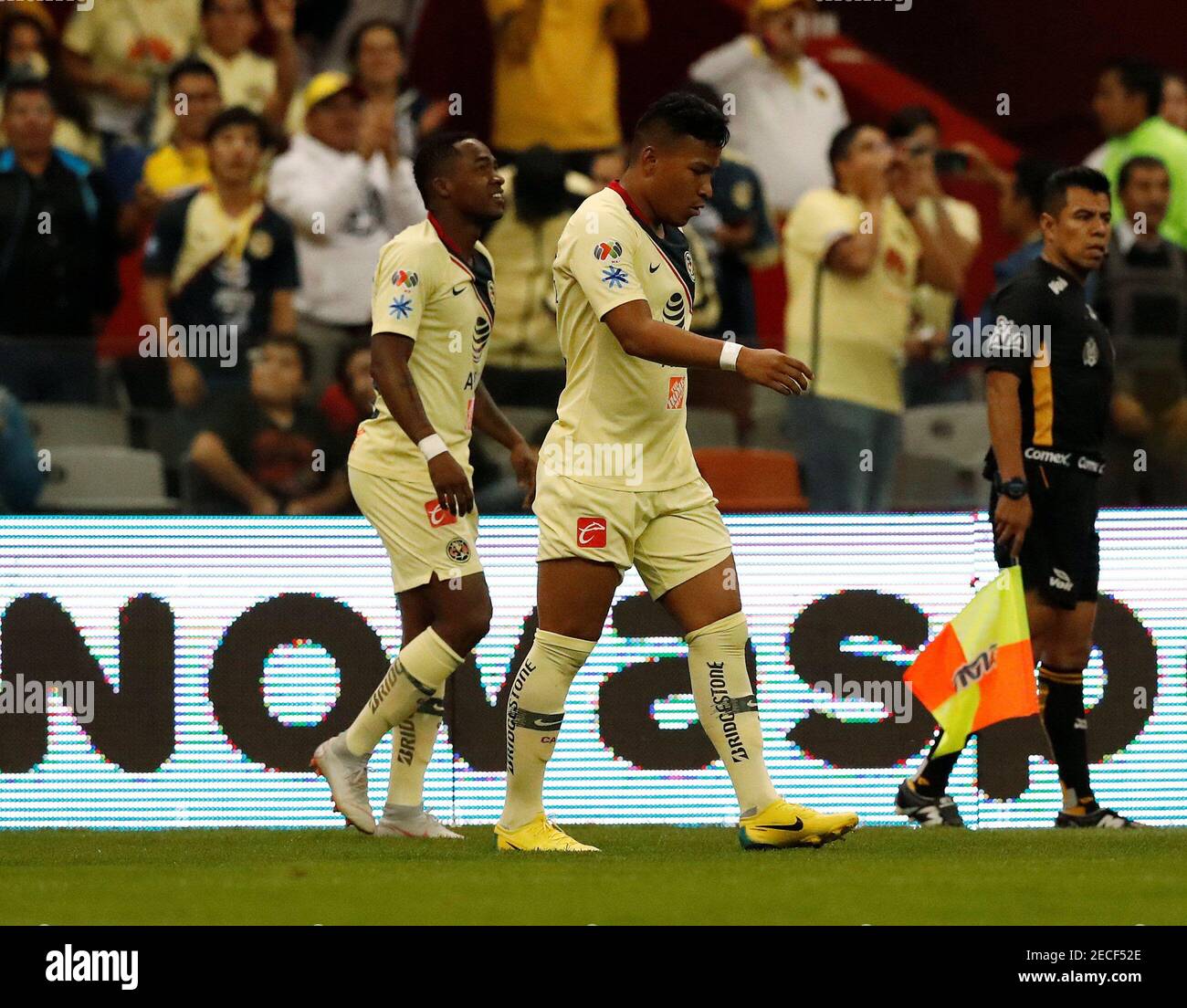 Renato Ibarra High Resolution Stock Photography And Images Alamy