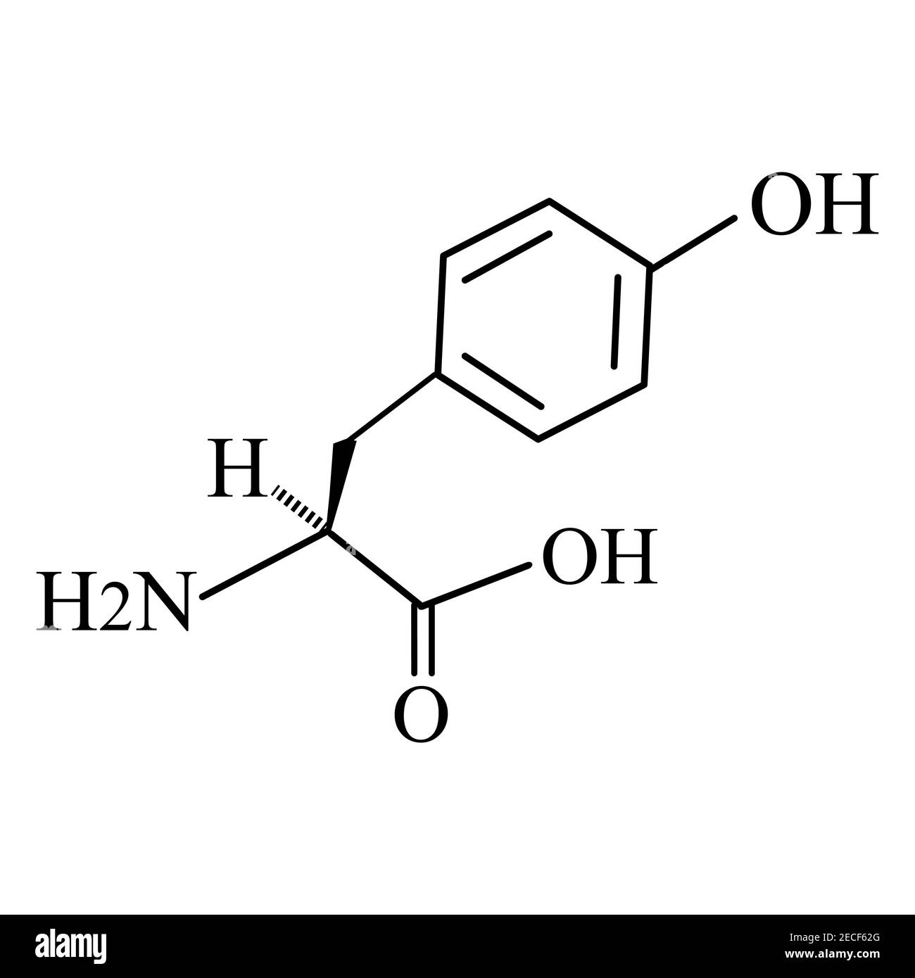 The amino acid Tyrosine. Chemical molecular formula of Tyrosine amino