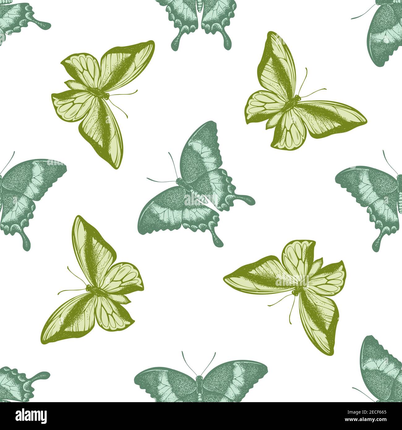 Seamless pattern with hand drawn pastel emerald swallowtail, swallowtail butterfly Stock Vector
