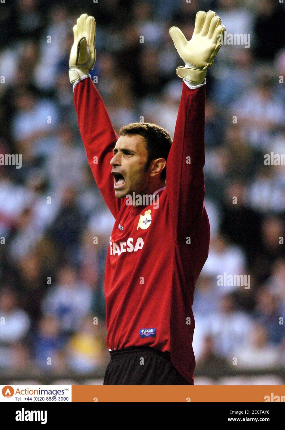 Football Newcastle United V Deportivo La Coruna Uefa Intertoto Cup Semi Final Second Leg St James Park 3 8 05 Deportivo La Coruna S Goalkeeper Jose Molina Celebrates The Second Goal Mandatory