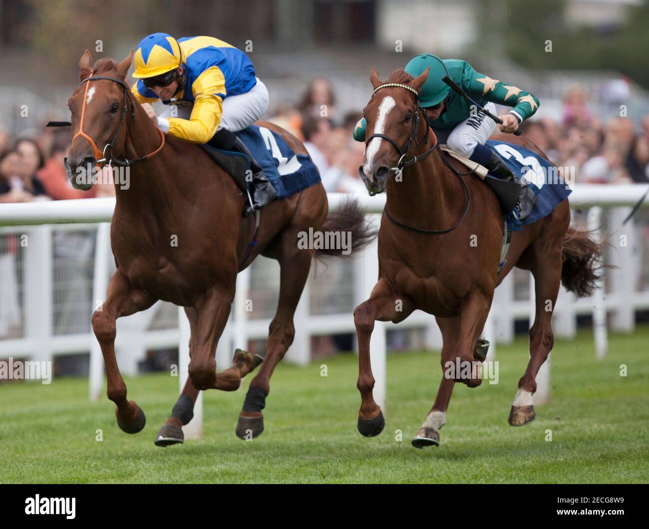 Horse Racing - Newbury - Newbury Racecourse - 4/8/13  Cricklewood Green ridden by Pat Dobbs (L) gets the better of Nezar ridden by William Buick to win the 15.15; The Grundon Recycle Nursery Handicap Stakes  Mandatory Credit: Action Images / Julian Herbert  Livepic Stock Photo