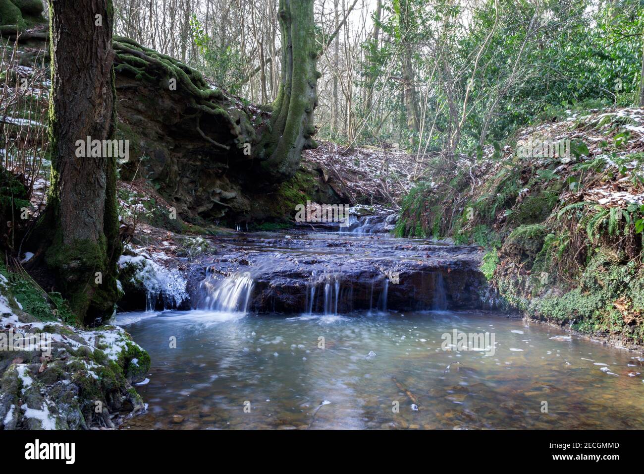 Stream in winter in Wealden, South of England Stock Photo