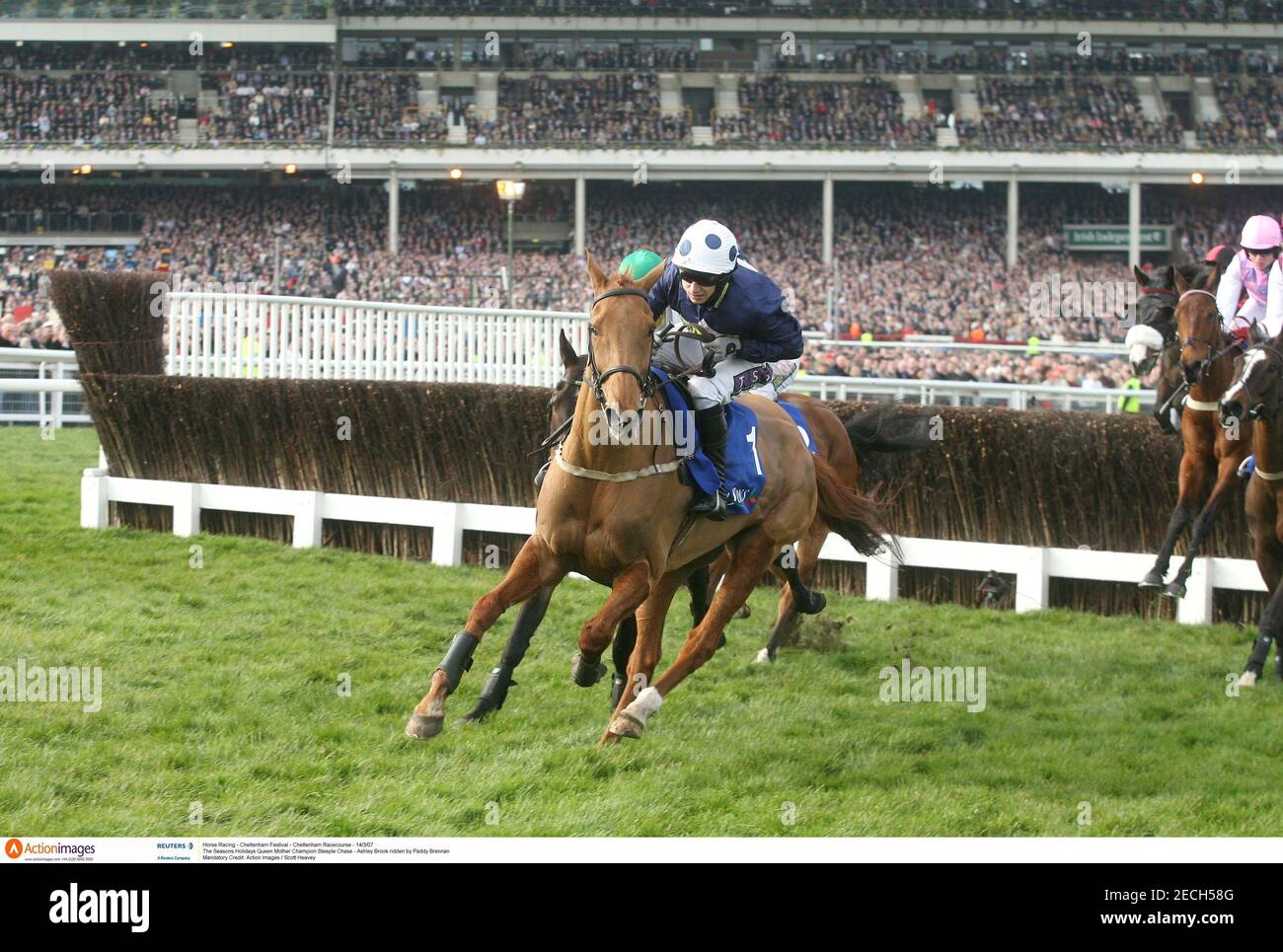 Ashley Chase High Resolution Stock Photography And Images Alamy