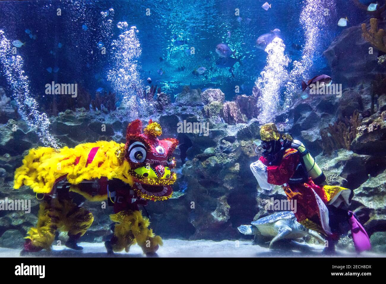 Kuala Lumpur, Malaysia. 10th Feb, 2021. Divers wearing Chinese traditional lion and god of fortune costumes perform the underwater lion dance at Aquaria KLCC during the Lunar New Year celebrations.The Year of Golden Ox is celebrated in a new normal by the Chinese community following the implementation of the movement control order (MCO) to curb the spread of COVID-19 in Malaysia. Credit: SOPA Images Limited/Alamy Live News Stock Photo