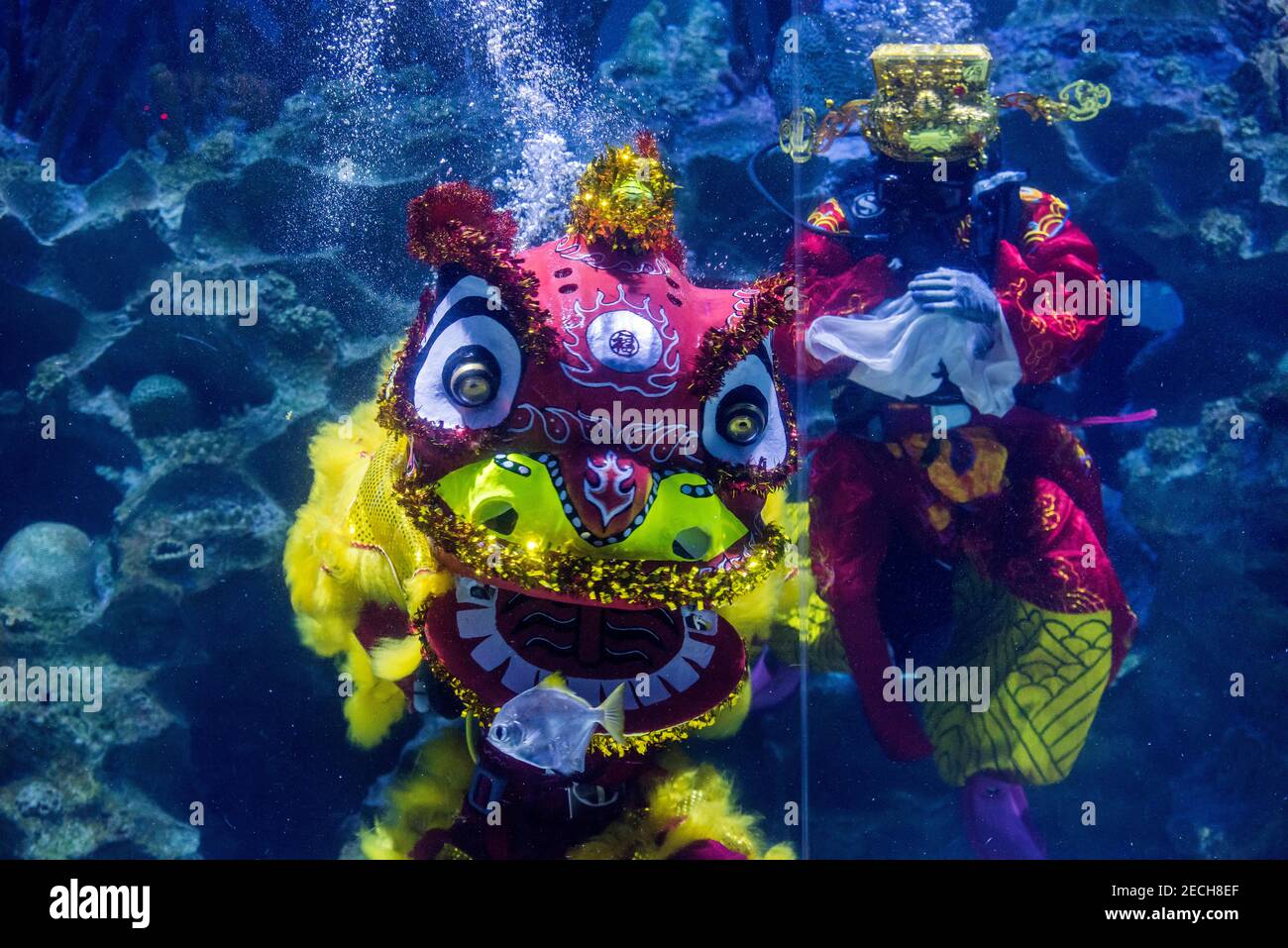 Kuala Lumpur, Malaysia. 10th Feb, 2021. Divers wearing Chinese traditional lion and god of fortune costumes perform the underwater lion dance at Aquaria KLCC during the Lunar New Year celebrations.The Year of Golden Ox is celebrated in a new normal by the Chinese community following the implementation of the movement control order (MCO) to curb the spread of COVID-19 in Malaysia. Credit: SOPA Images Limited/Alamy Live News Stock Photo