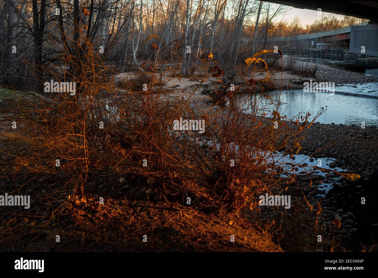 Sprites hi-res stock photography and images - Alamy
