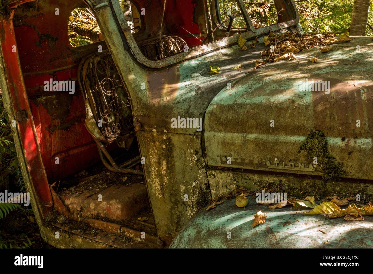 Old International truck (circa 1946) at Jawbone Flats near Opal Creek Wilderness, Oregon. Stock Photo