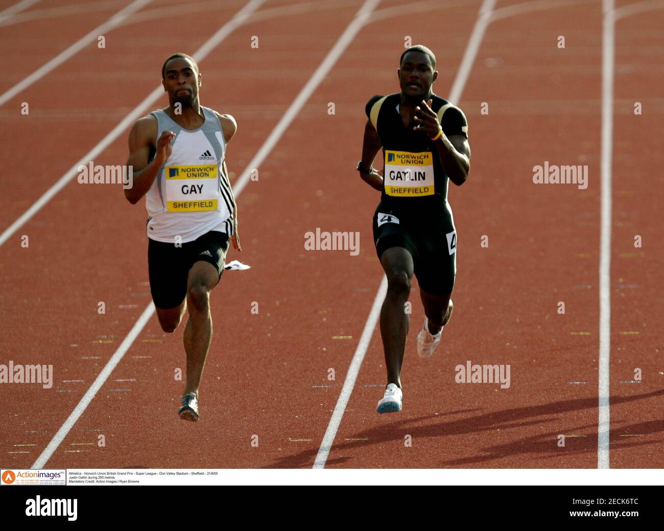 grandprø turf sneaker