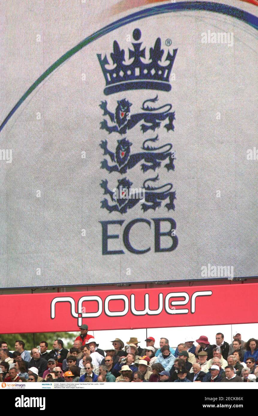 New Npower Official Ashes 2009 Ecb series Ball/wicket Pin Badge. 