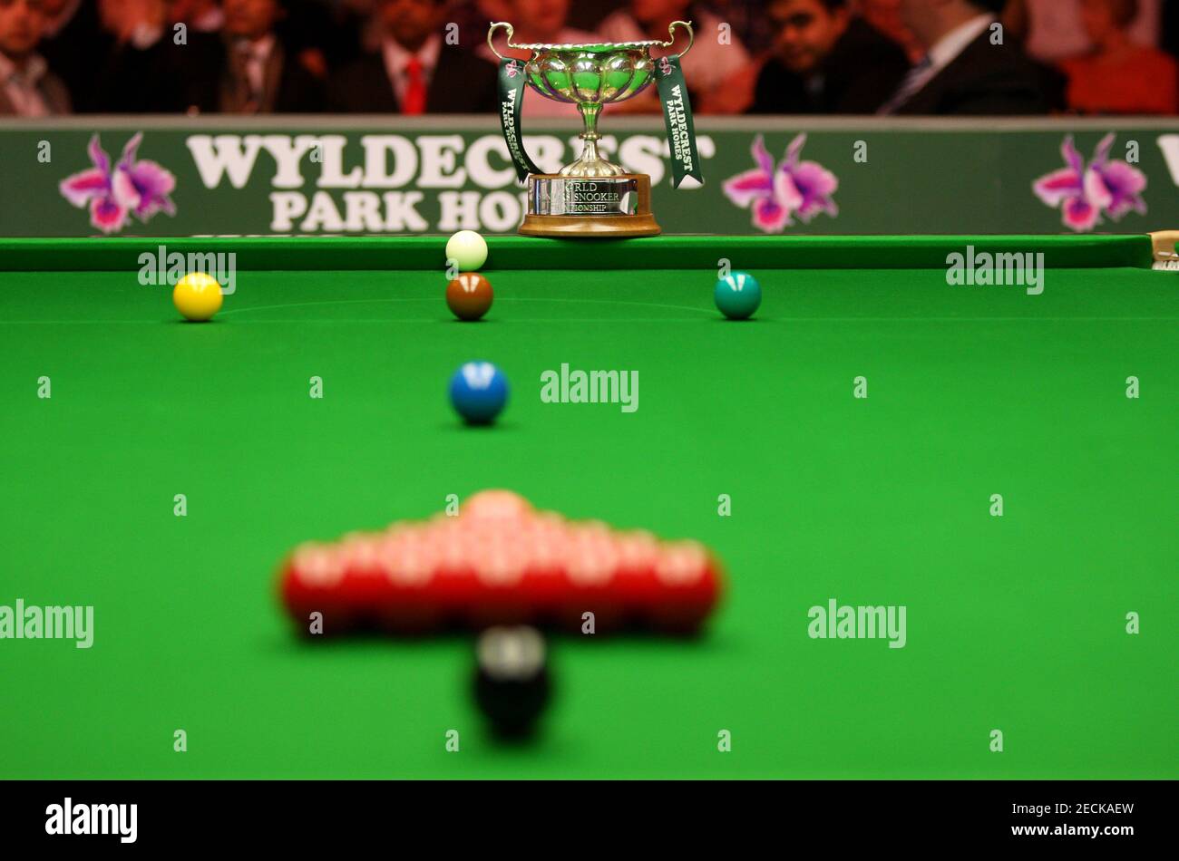Snooker - World Seniors Snooker Championship - Cedar Court Hotel, Bradford  - 6/11/10 Dennis Taylor durning the quarter final match Mandatory Credit:  Action Images / Steven Paston Livepic Stock Photo - Alamy