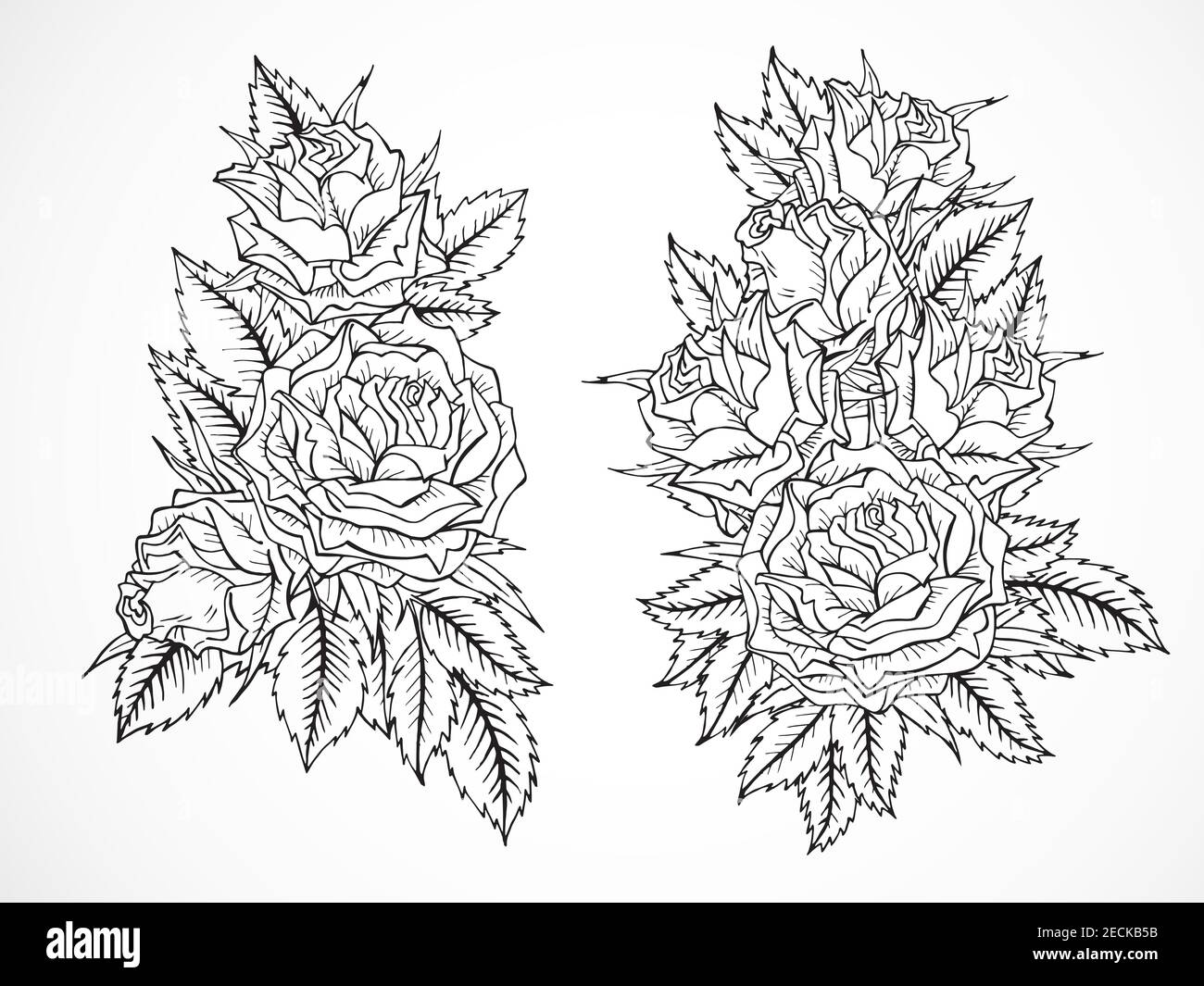 Vector set of black contour hand drawn roses and leaves Stock Vector ...