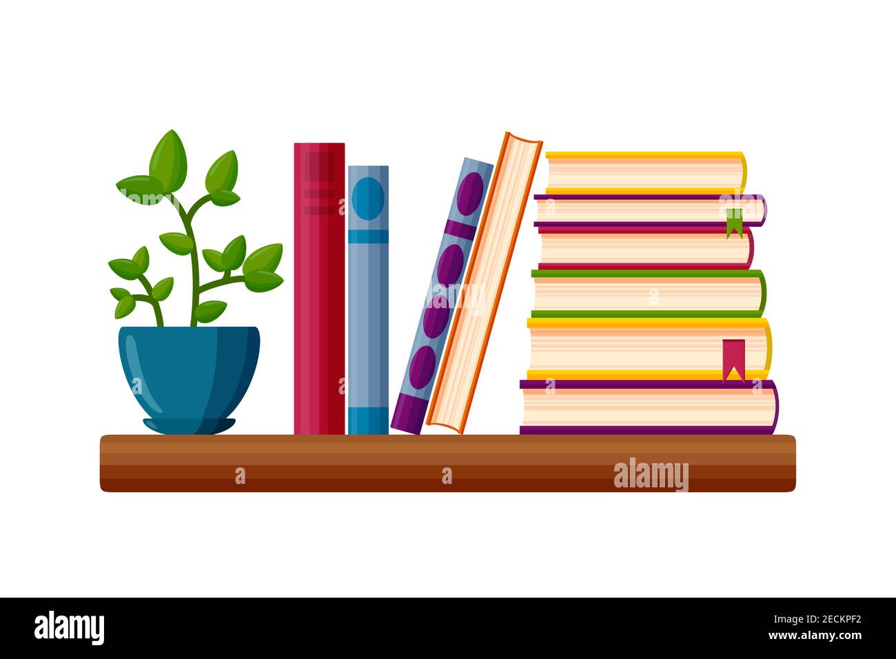 Bookshelf with potted plant. Books in cartoon style. Vector