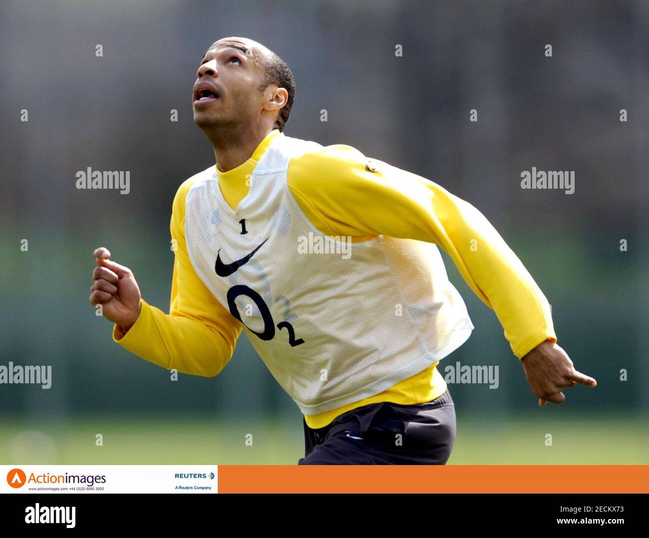 thierry henry football manager 2005 thierry henry football manager 2005