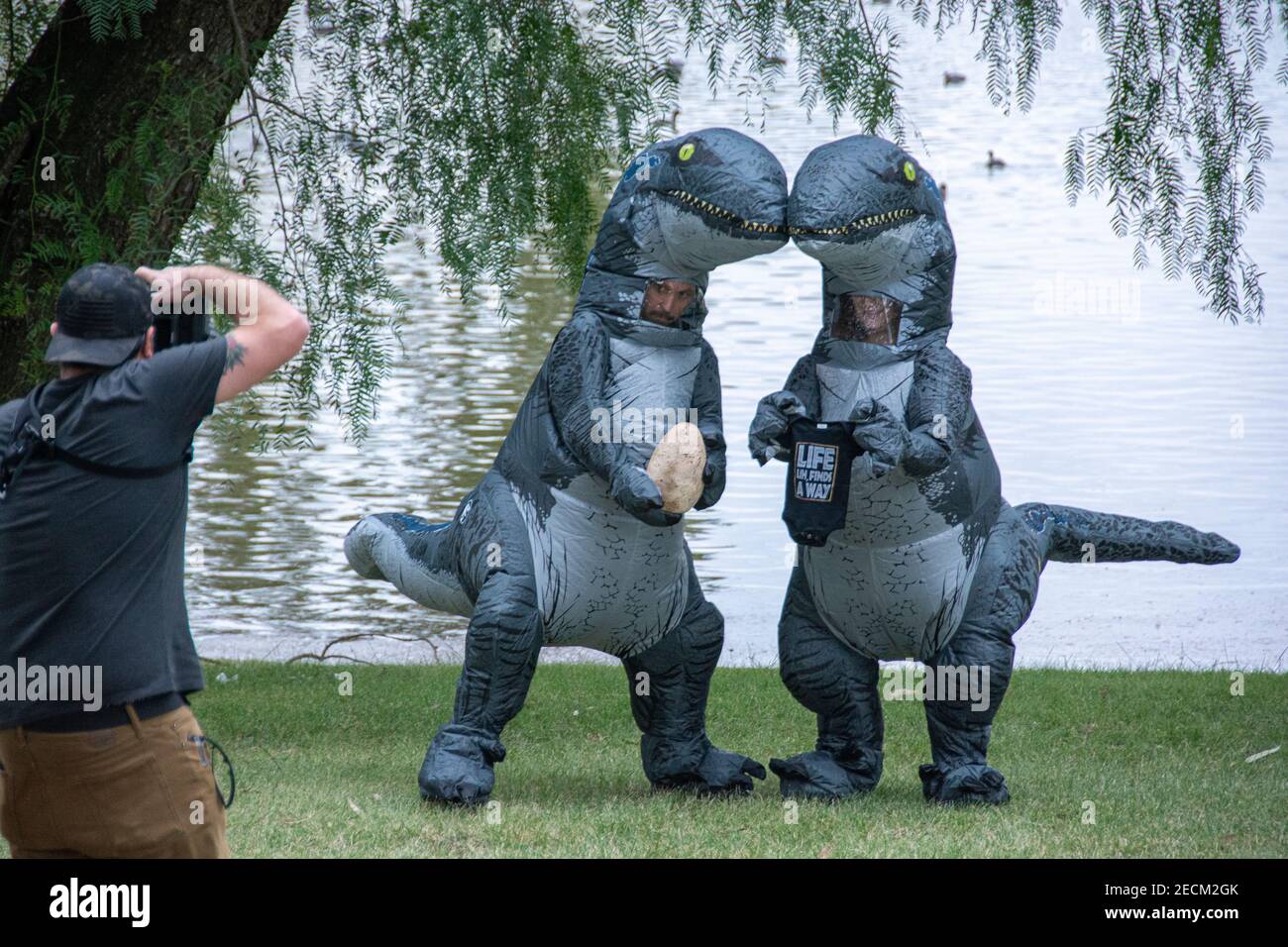 A photographer on a shoot with two men dressed up as dinosaurs. Stock Photo