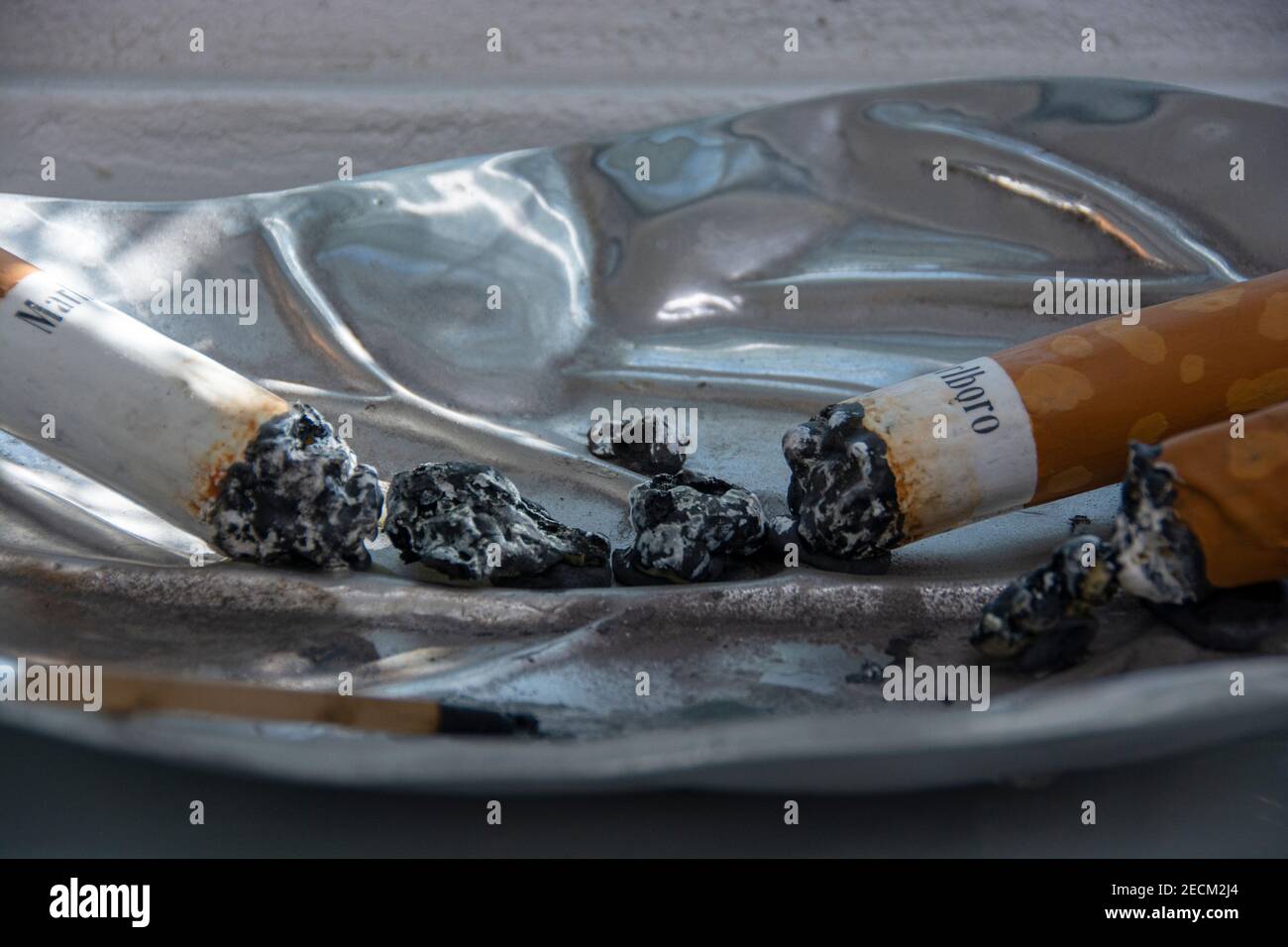 does chewing tobacco cause plaque in arteries Effects of Nicotine Contained in Tobacco Mainstream Smoke on Vascular  Smooth Muscle Cells