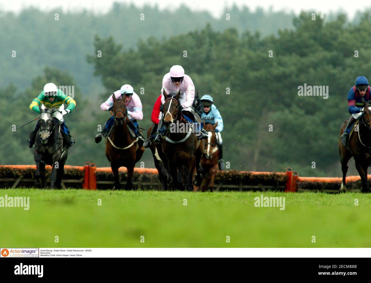 Exeter Racecourse High Resolution Stock Photography And Images Alamy