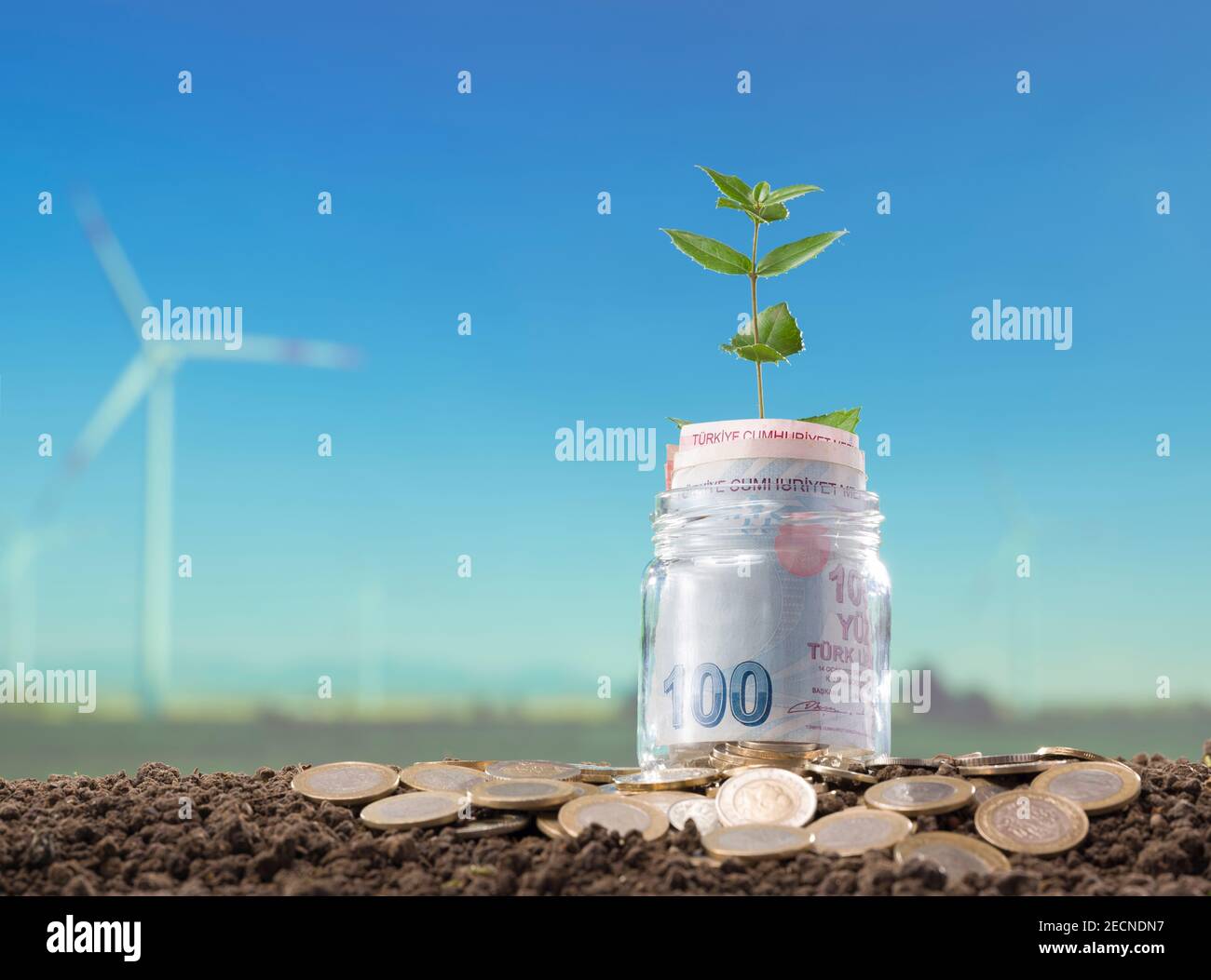 Turkish money and young plant in jar. Background of blurred wind roses and blue sky Stock Photo