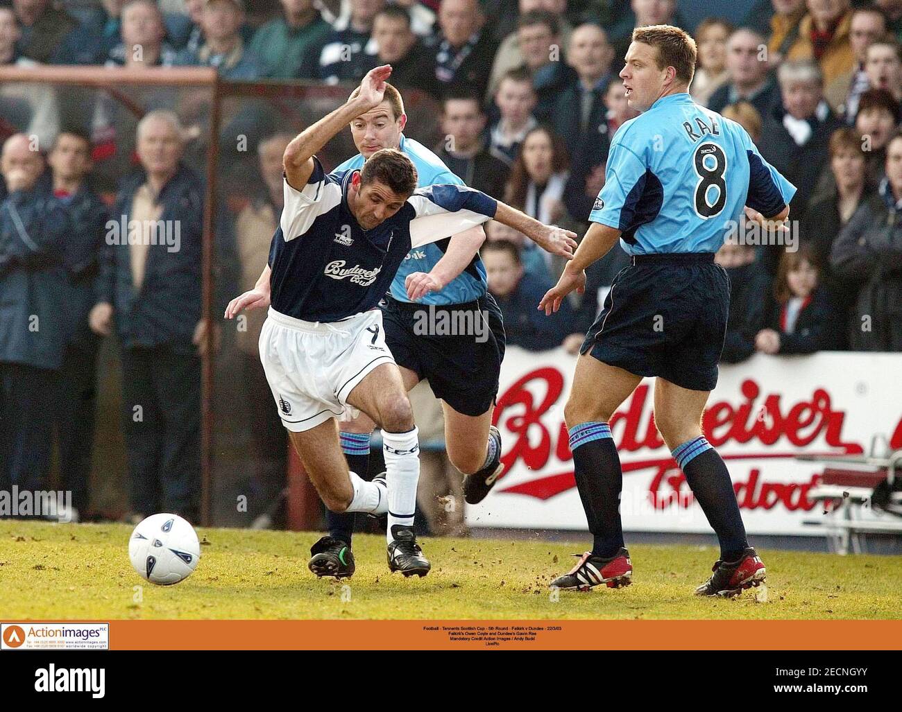 Tennents scottish cup hi-res stock photography and images - Alamy