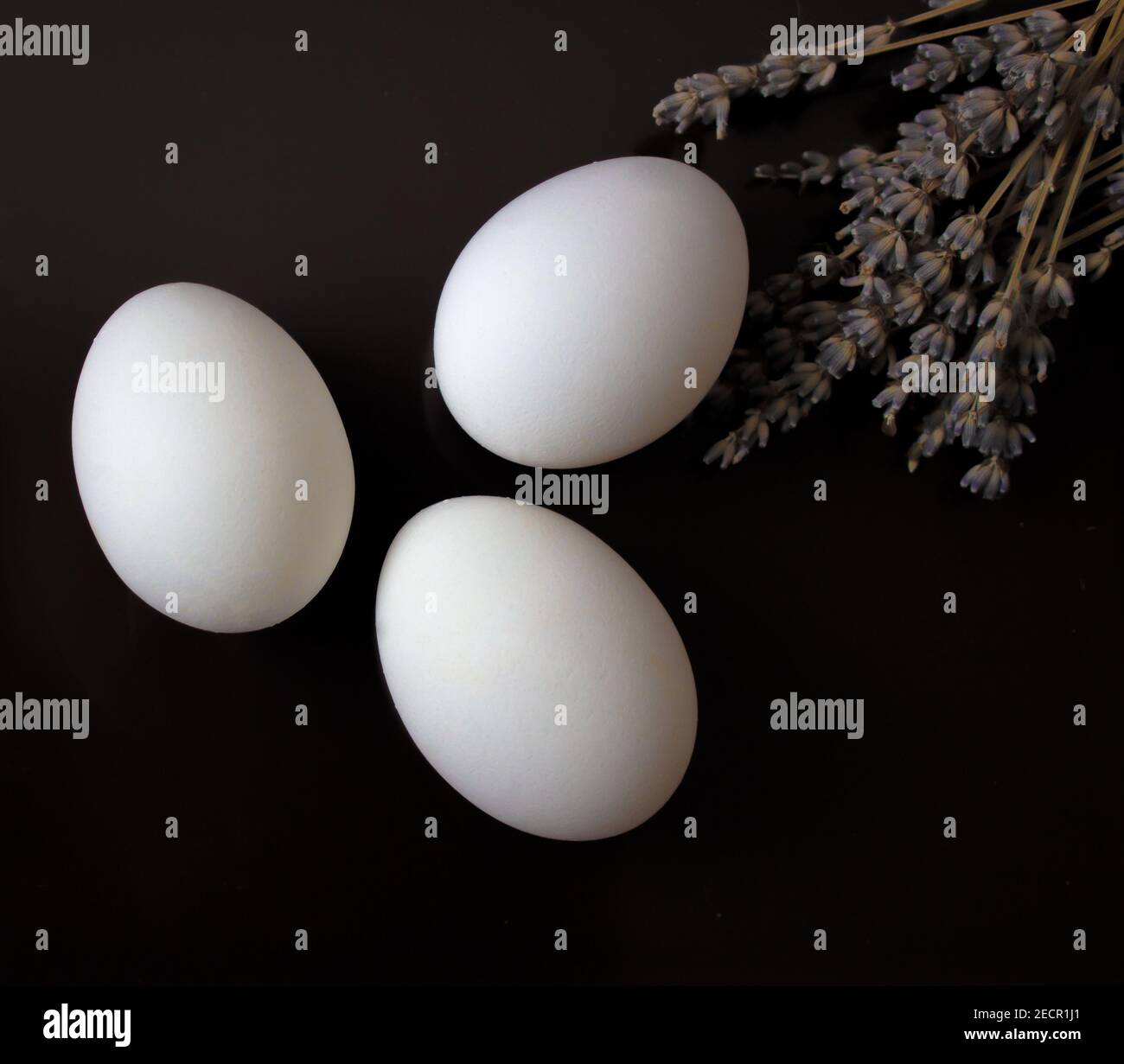 Three white eggs on a dark background with lavender. View from above. Easter eggs. Stock Photo