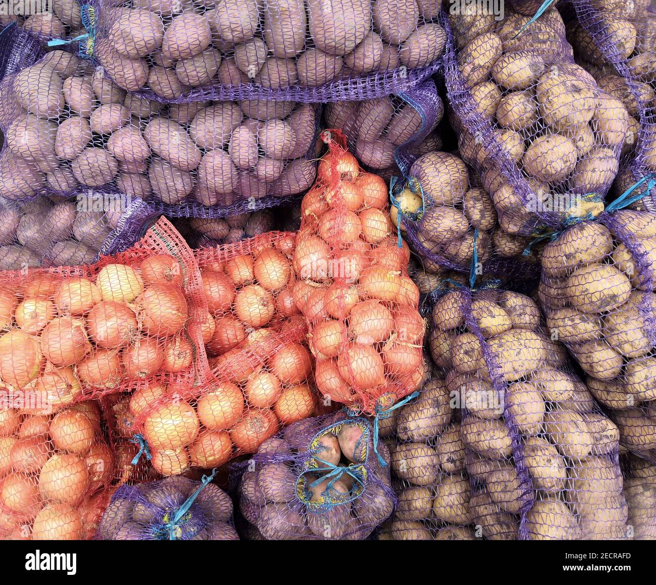 Mesh bagged potatoes and onions at a farmers' market. Bag of raw and