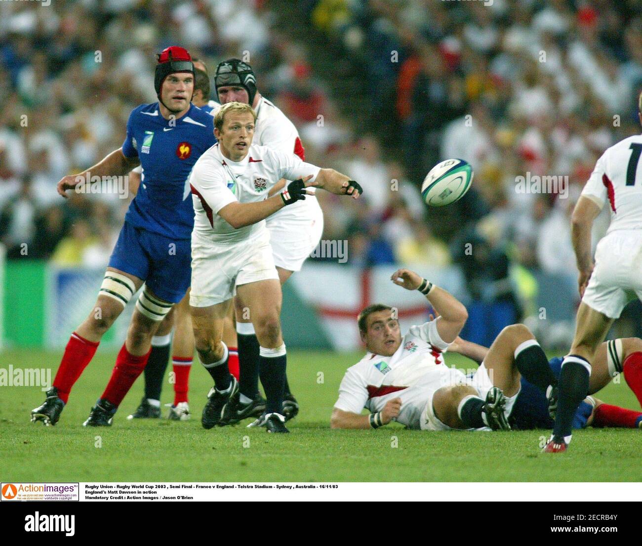 Matt dawson rugby world cup hi-res stock photography and images - Page 3 -  Alamy