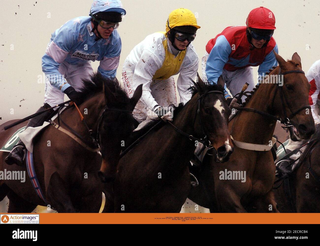 14+ Todays horse racing results at sedgefield best strategy