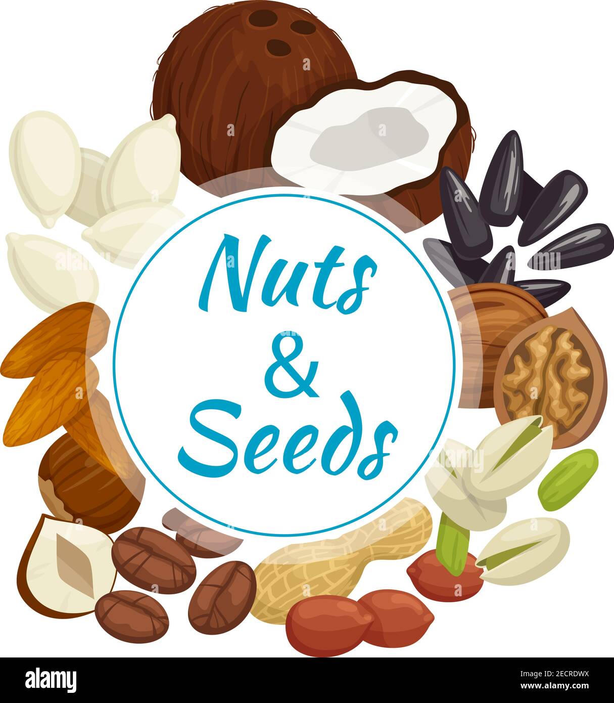 Nuts, seeds and beans round banner with peanut, almond, hazelnut