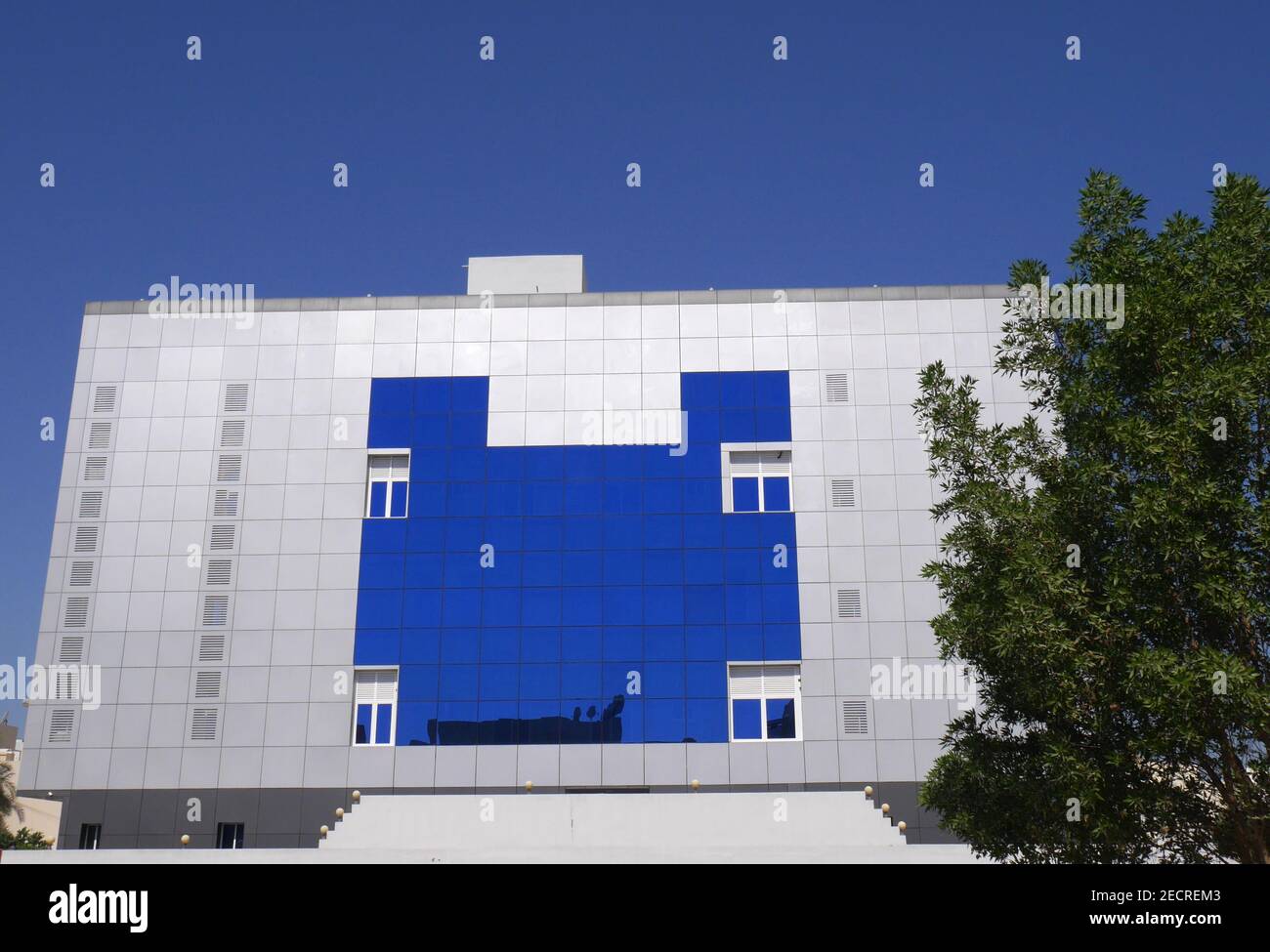 Block of flats with damas tree, conocarpus lancifolius, in front ...