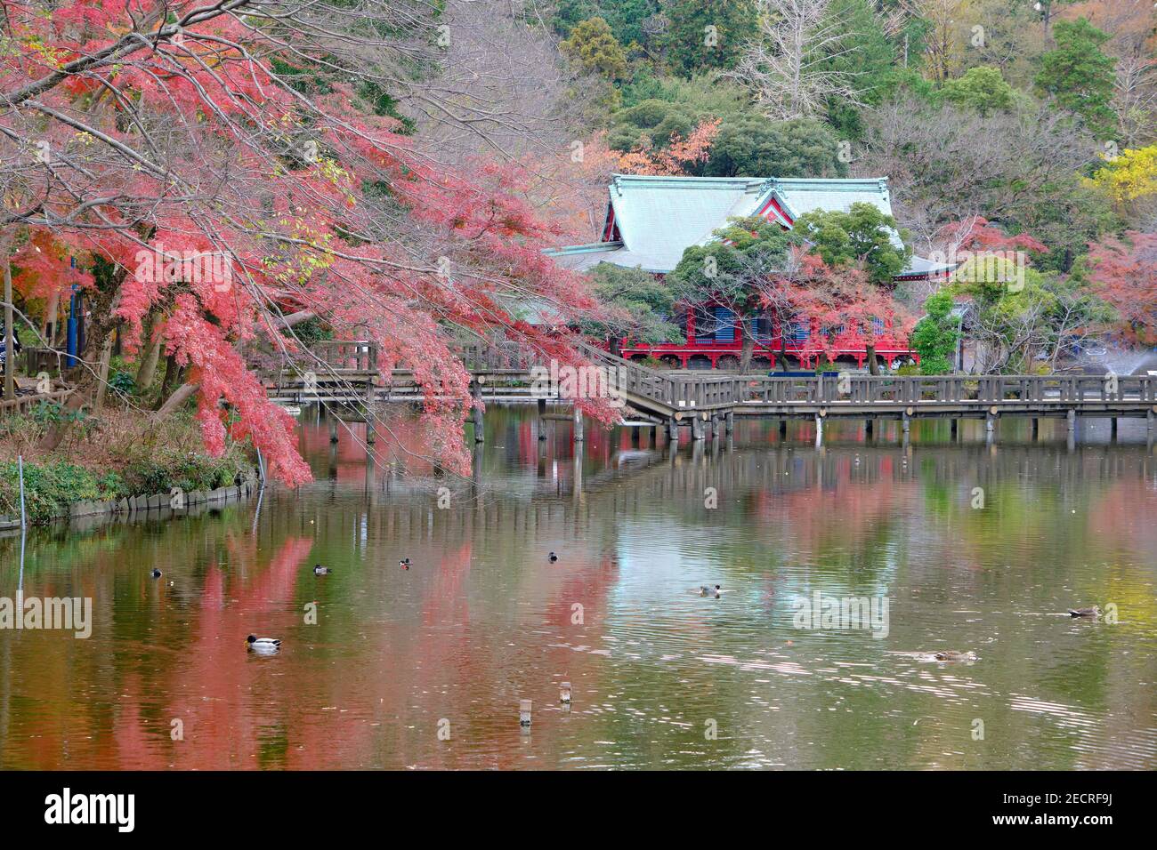 The Inokashira Benzaiten temple at Inokashira Park, Kichijoji, tokyo. Stock Photo