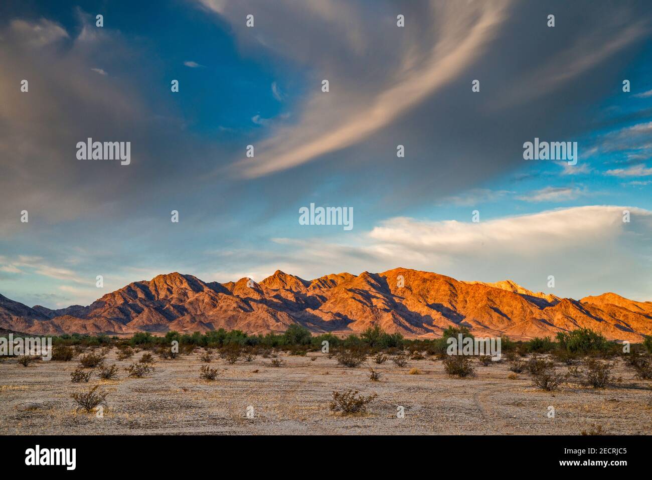 Altocumulus clouds, Little Maria Mountains, Mojave Desert, at sunrise