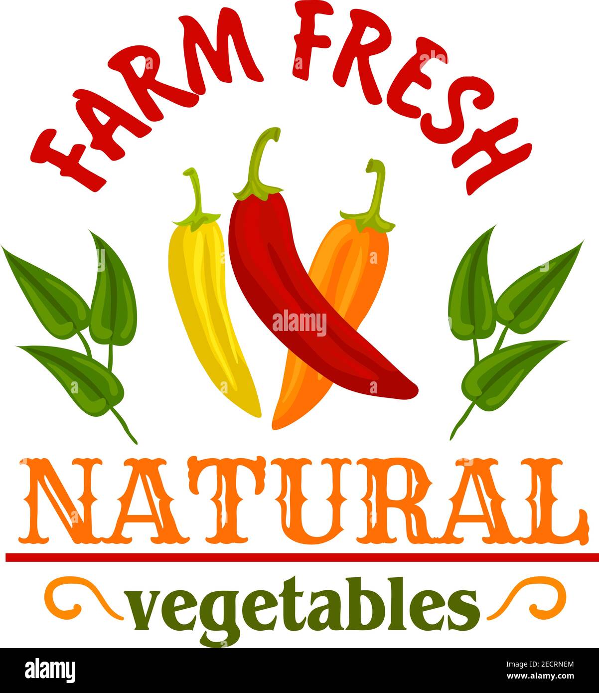 Chilli farm Stock Vector Images - Alamy