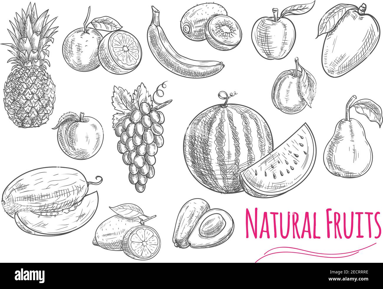 Fruits isolated sketches with sweet orange, banana, apple, lemon, grape
