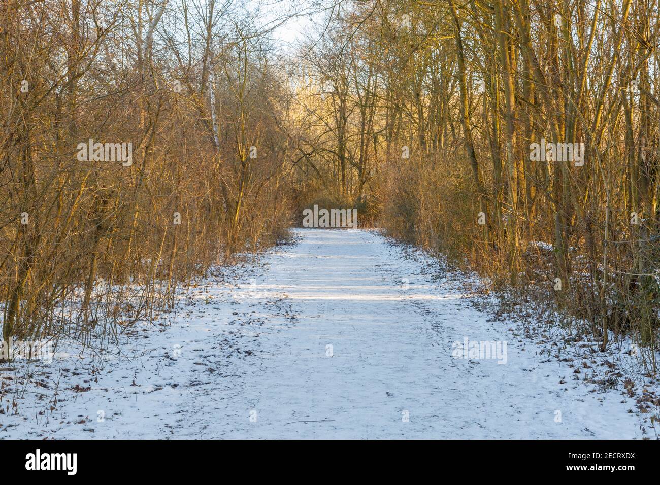 verschneiter Weg an der Grube Fernie in Großen-Linden im Winter 2021 Stock Photo