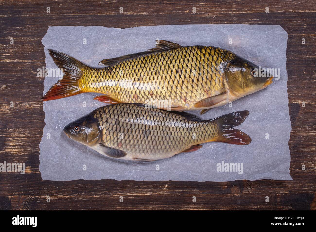 Top view uncooked fish hi-res stock photography and images - Alamy