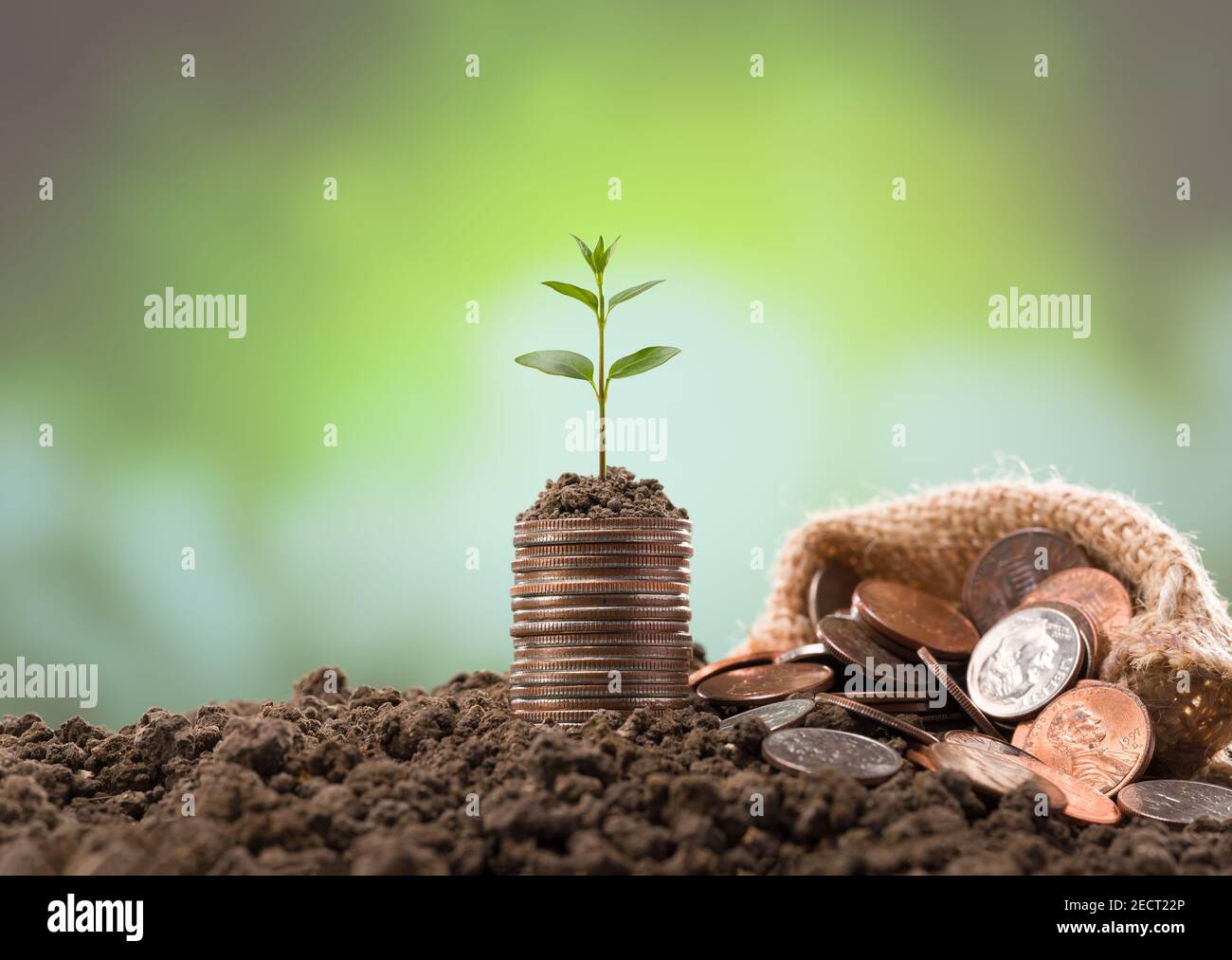 Metal coins on sack. Young plant on a pile of coins. Growth concept Stock Photo