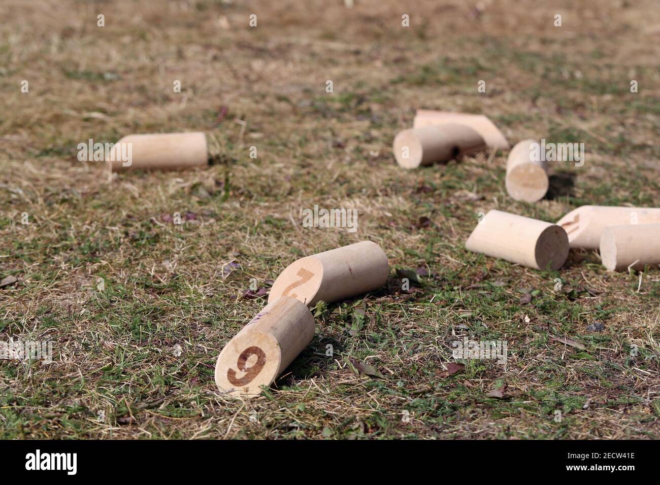 Mölkky - popular Finnish outdoor activity during summer time. This yard game is often played in summer cottage. Have a fun competition! Stock Photo