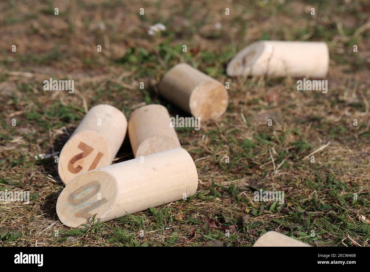 Mölkky - popular Finnish outdoor activity during summer time. This yard game is often played in summer cottage. Have a fun competition! Stock Photo