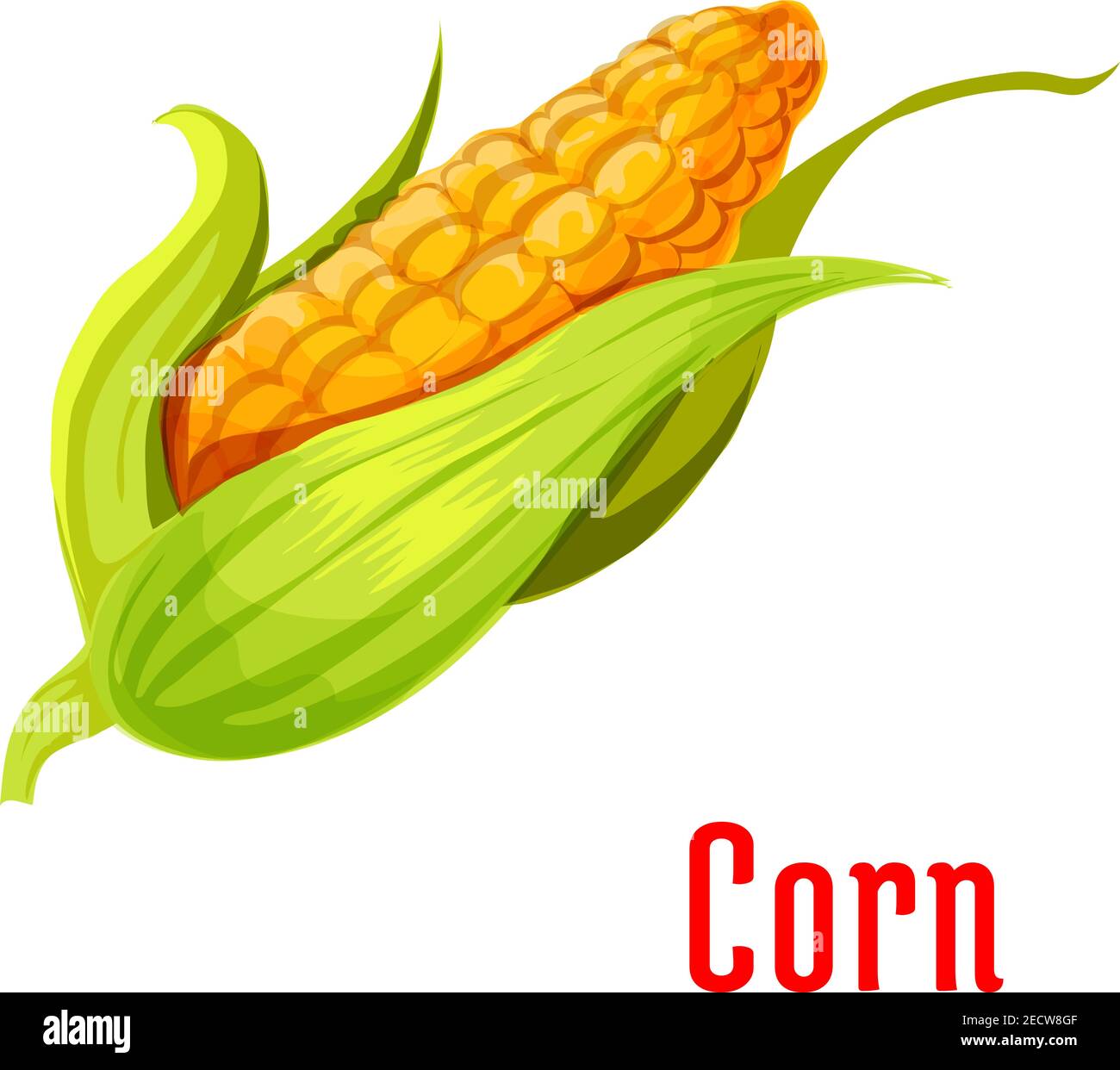 Corn ear plant icon. Isolated leafy vegetable green element. Vegetarian ...