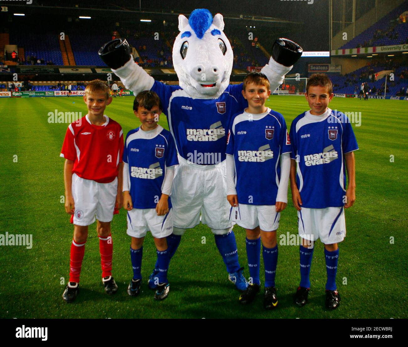 ipswich town mascot high resolution stock photography and images alamy ipswich town mascot high resolution stock photography and images alamy