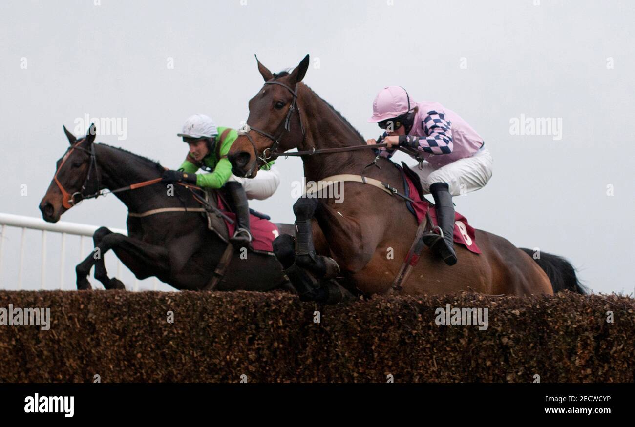 11++ Ludlow horse racing fast results best advice
