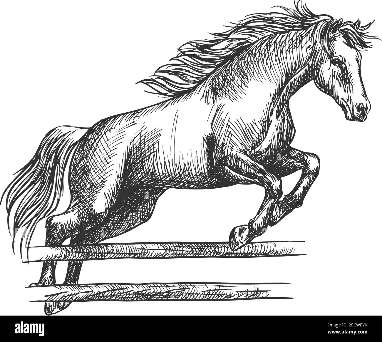 Strong horse runs and jumps over barrier. Trained mustang stallion on hippodrome sport horse races leaping over fence. Vector sketch Stock Vector