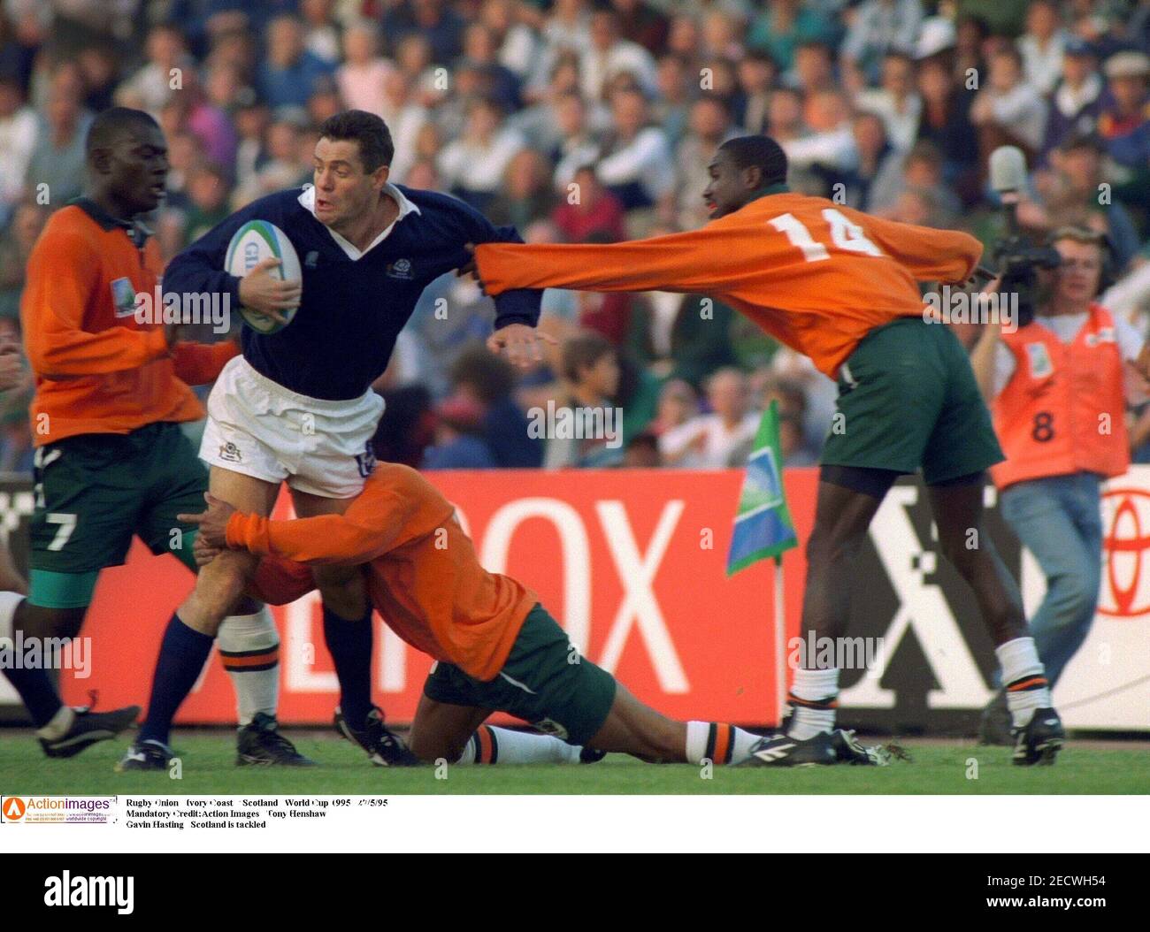 1995 Rugby World Cup High Resolution Stock Photography and Images Alamy