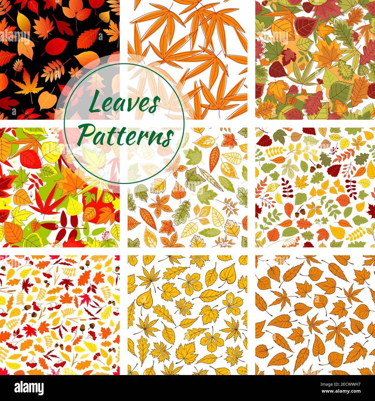 Oak elm maple Stock Vector Images Alamy Oak elm maple Stock Vector Images Alamy