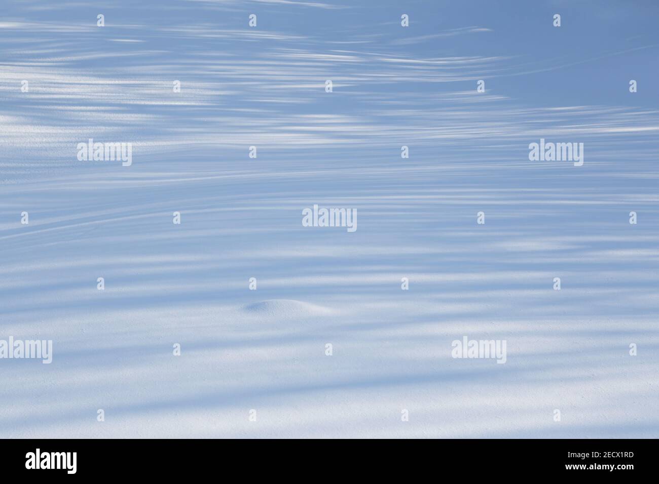 Clear and even blue snow with transverse shadow stripes. Stock Photo