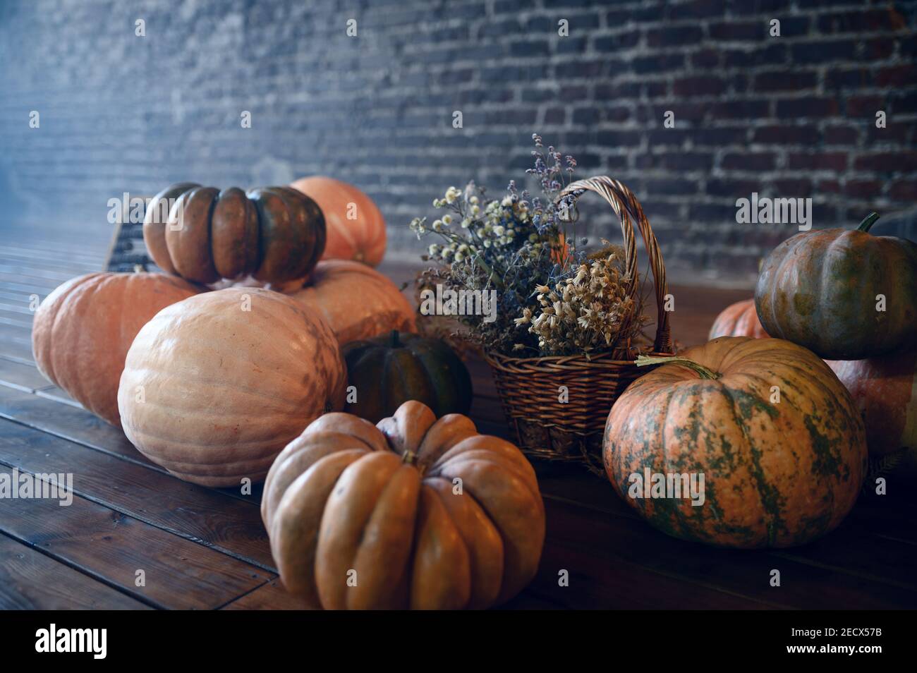 Pumpkins and teddy bear, nobody, exorcism concept Stock Photo