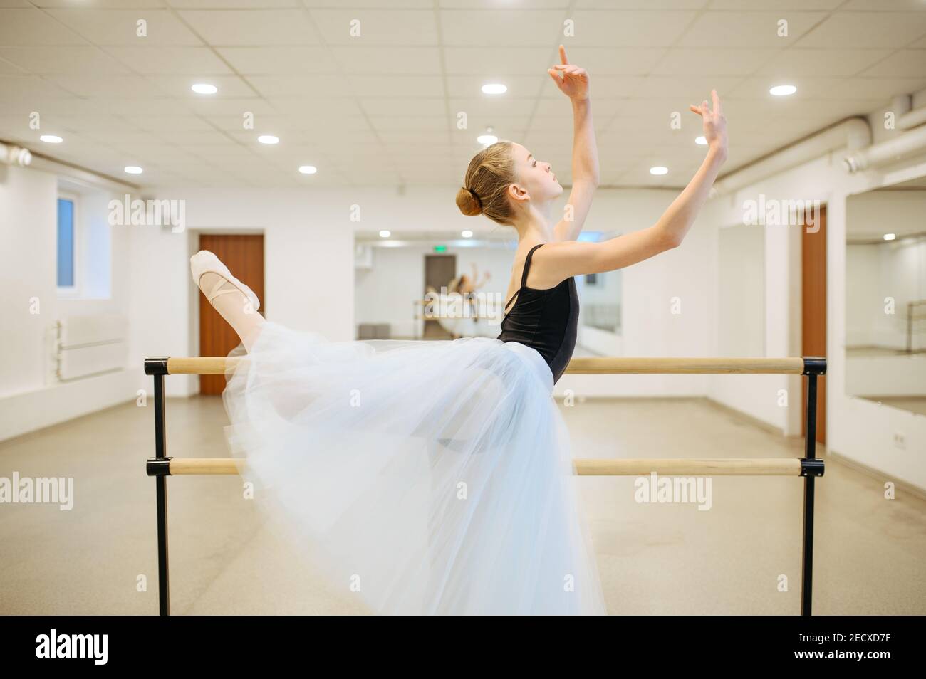 Elegant young ballerina rehearsing at the barre Stock Photo
